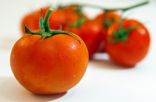 西红柿(图1)