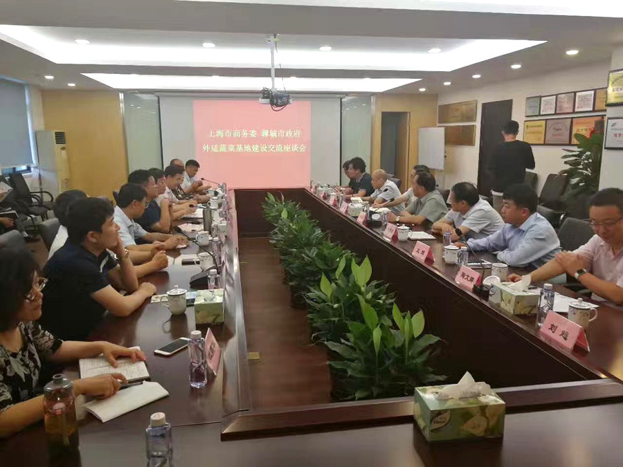 聊胜一筹农产品-市领导洽谈上海菜篮子工程(图1)