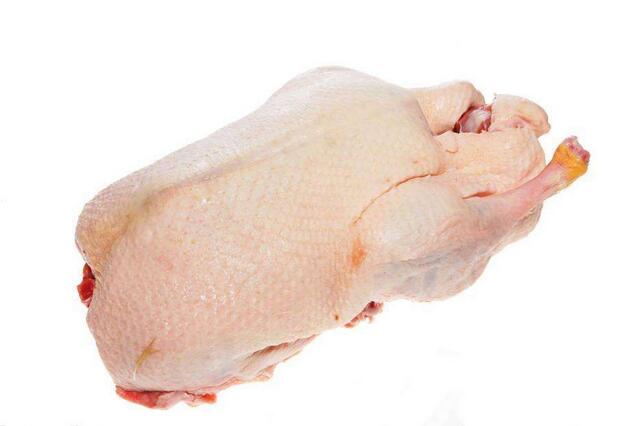 鸭肉(图1)